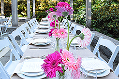 LOVE IN BLOOM AT WISTERIA HALL